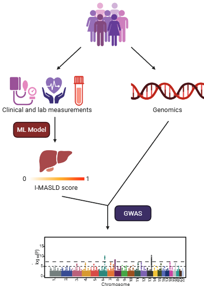 GWAS schematic (placeholder)